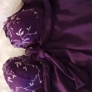 Enchanted nighty size 2X
